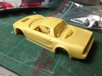 IMG_0200nsx.JPG