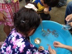 IMG_0617mat.JPG
