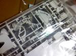 SBSH0015pra.JPG